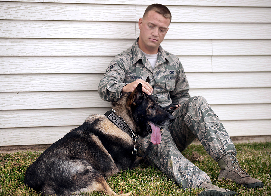 Roko Missile Security Force Dog